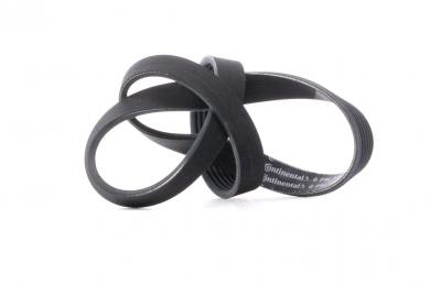 CONTITECH Continental  6PK1000 Courroie trap&eacute;zo&iuml;dale &agrave; nervures