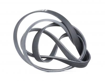 CONTITECH Courroie trap&eacute;zo&iuml;dale &agrave; nervures (d'accessoires)  6PK2404