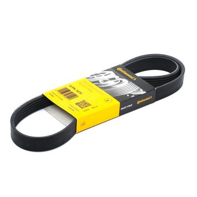 CONTITECH Continental  6PK1070 Courroie trap&eacute;zo&iuml;dale &agrave; nervures