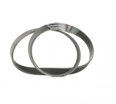 CONTITECH Continental  6PK1033 Courroie trap&eacute;zo&iuml;dale &agrave; nervures