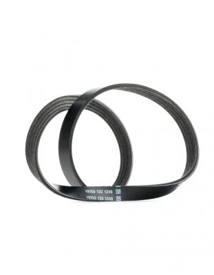 DAYCO Courroie trap&eacute;zo&iuml;dale &agrave; nervures  4PK830EE