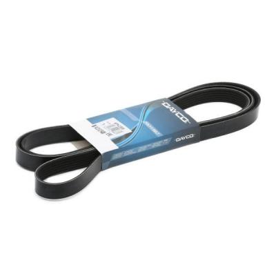 DAYCO Courroie trap&eacute;zo&iuml;dale &agrave; nervures  6PK2385