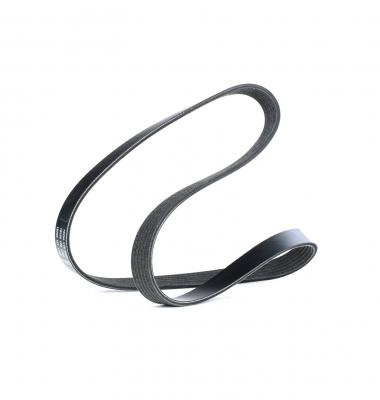 DAYCO Courroie trap&eacute;zo&iuml;dale &agrave; nervures  6PK1090EE