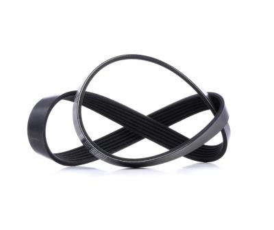 DAYCO Courroie trap&eacute;zo&iuml;dale &agrave; nervures  6PK1004K