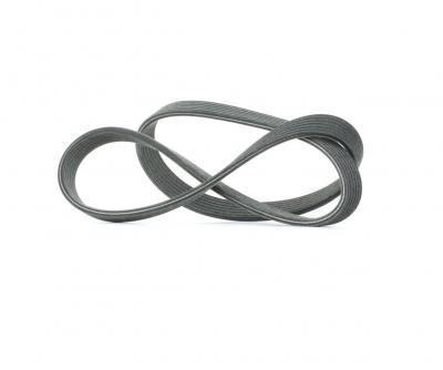 DAYCO Courroie trap&eacute;zo&iuml;dale &agrave; nervures  6DPK1195