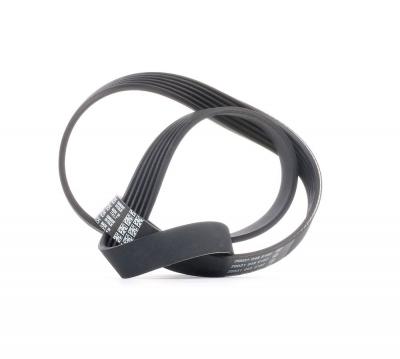 DAYCO Courroie trap&eacute;zo&iuml;dale &agrave; nervures  6PK1125