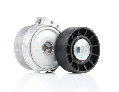 DAYCO Tendeur de courroie, courroie trap&eacute;zo&iuml;dale &agrave; nervures  APV1114