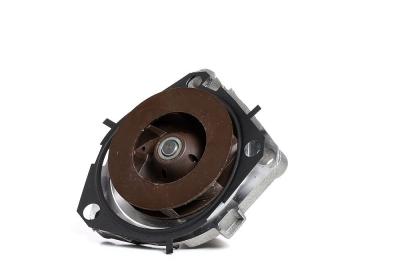 DAYCO  Pompe &agrave; eau 8021787059229