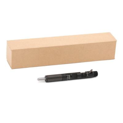 DELPHI Injecteur essence  28232251 (X1)