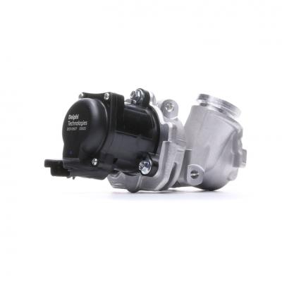 DELPHI  Vanne EGR / AGR EG10507-12B1