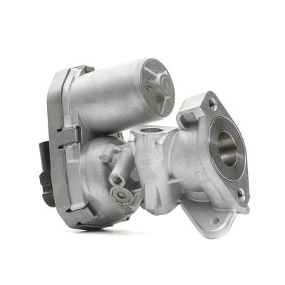 Vanne EGR DELPHI EG10399-12B1 (X1)