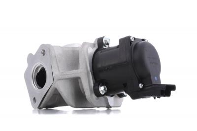 DELPHI Vanne EGR  EG10401-12B1 (X1)