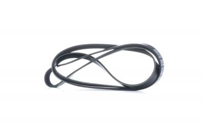 FEBI BILSTEIN Courroie trap&eacute;zo&iuml;dale &agrave; nervures  28889