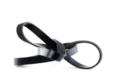 FEBI BILSTEIN Courroie trap&eacute;zo&iuml;dale &agrave; nervures  28983