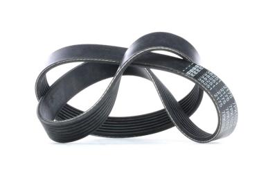 FEBI BILSTEIN  Courroie d'accessoire 38251 RENAULT MODUS