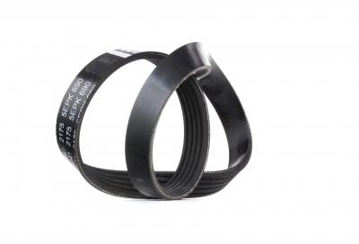 FEBI BILSTEIN  Courroie d'accessoire 38241 FORD FIESTA