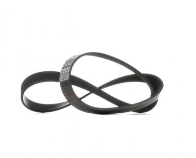 FEBI Courroie trap&eacute;zo&iuml;dale &agrave; nervures  BILSTEIN 29054