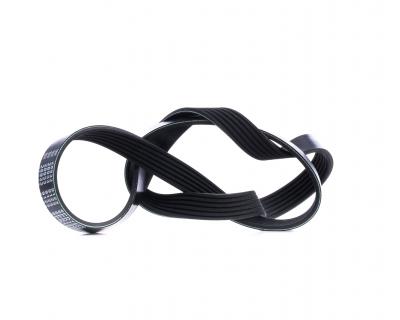 FEBI BILSTEIN Courroie trap&eacute;zo&iuml;dale &agrave; nervures  28933