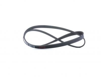 FEBI BILSTEIN Febi-Bilstein 28856 Courroie trap&eacute;zo&iuml;dale &agrave; nervures