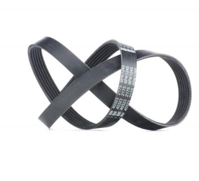 FEBI BILSTEIN Courroie trap&eacute;zo&iuml;dale &agrave; nervures  40323