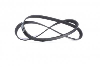 FEBI BILSTEIN Courroie trap&eacute;zo&iuml;dale &agrave; nervures  28866