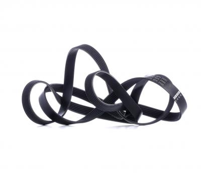 FEBI Courroie trap&eacute;zo&iuml;dale &agrave; nervures  BILSTEIN 39803