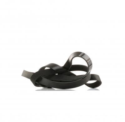 FEBI BILSTEIN  Courroie d'accessoire 28968 SEAT IBIZA