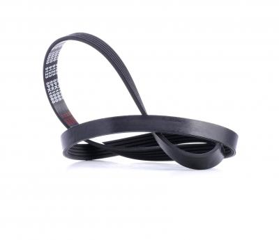 FEBI Courroie trap&eacute;zo&iuml;dale &agrave; nervures  BILSTEIN 28850