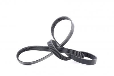 FEBI -Bilstein 28879 Courroie trap&eacute;zo&iuml;dale &agrave; nervures