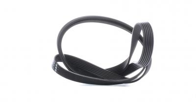 FEBI BILSTEIN  Courroie d'accessoire 37538 MERCEDES-BENZ SERIE 124