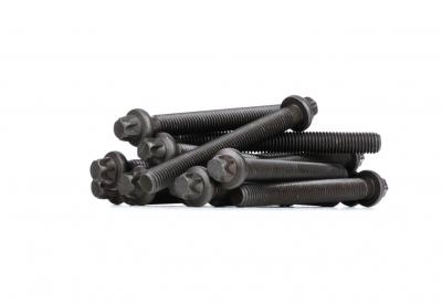 FEBI BILSTEIN  Boulon / vis de culasse de cylindre 08245 BMW S&eacute;rie 3