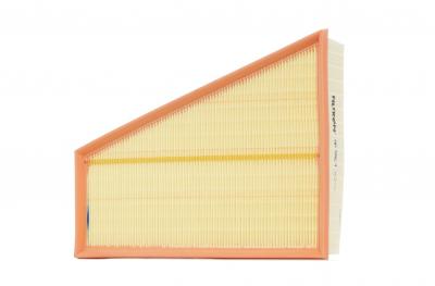 FILTRON Filtre a  air  AP 186/1 (X1)