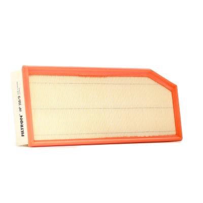 FILTRON Filtre a  air  AP 118/9 (X1)