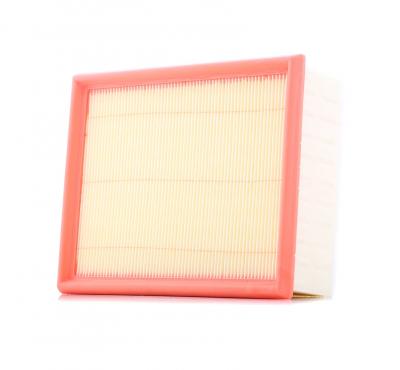 FILTRON Filtre a  air  AP 080/7 (X1)