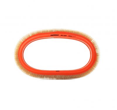 FILTRON Filtre a  air  AR 229 (X1)