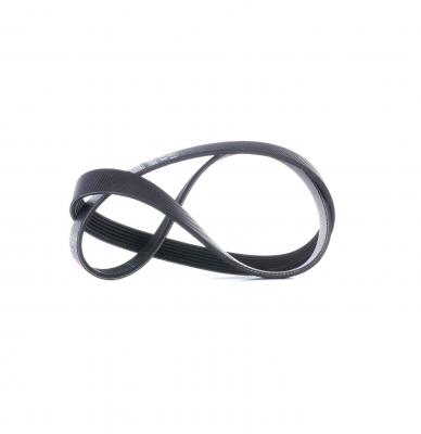 GATES Courroie trap&eacute;zo&iuml;dale &agrave; nervures Stretch Fit&reg;  6PK1030SF