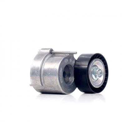 GATES Galet tendeur de courroie d'accessoire  T39174