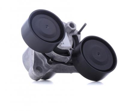 INA Tendeur, courroie trap&eacute;zo&iuml;dale a nervures  534 0482 10