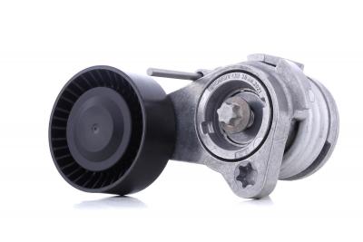 INA  534 0252 10 Tendeur de courroie, courroie trap&eacute;zo&iuml;dale &agrave; nervures