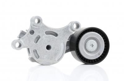 INA Tendeur courroie trap&eacute;zo&iuml;dale &agrave; nervures 534 0075 20 