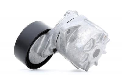 INA  534&nbsp;0481&nbsp;10&nbsp;Bras Tendeur pour courroie Poly-V