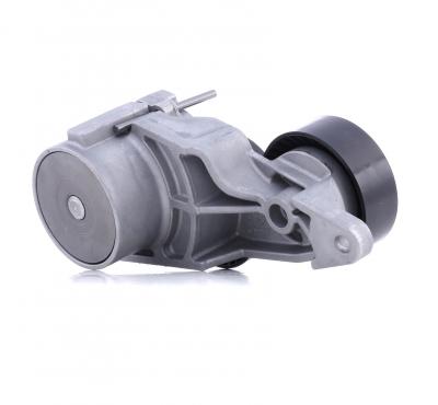 INA Tendeur, courroie trap&eacute;zo&iuml;dale &agrave; nervures  534 0319 10