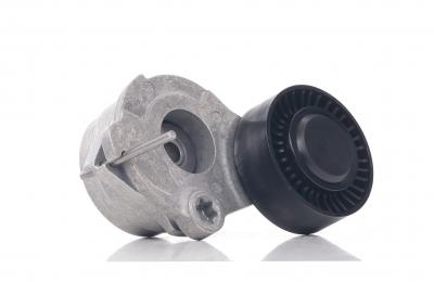 INA Tendeur, courroie trap&eacute;zo&iuml;dale a nervures  534 0470 10