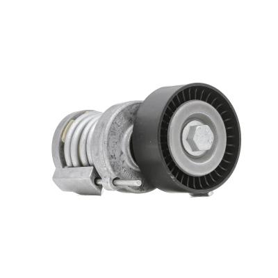 INA  534 0123 20 Tendeur, courroie trap&eacute;zo&iuml;dale &agrave; nervures