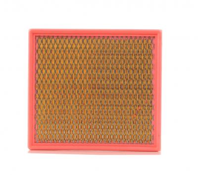 MANN FILTER Filtre a  air MANN-FILTER C 24 100 (X1)
