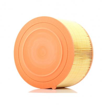 MANN FILTER MANN-FILTER Filtre &agrave; air C 22 024 FORD RANGER