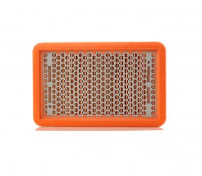 MANN FILTER MANN-FILTER Filtre &agrave; Air C 2666 &ndash; Pour v&eacute;hicule particulier