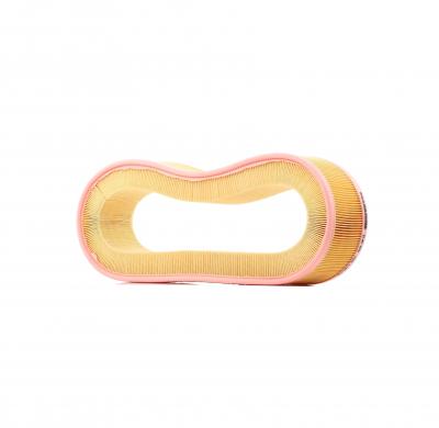 MANN FILTER MANN-FILTER Filtre &agrave; Air C 41 173 &ndash; Pour v&eacute;hicule particulier