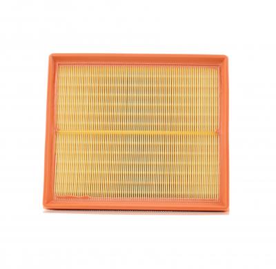 MANN FILTER MANN-FILTER Filtre &agrave; Air C 29 168 &ndash; Pour v&eacute;hicule particulier