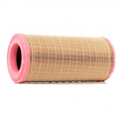 MANN FILTER Filtre a  air MANN-FILTER C 19 460/2 (X1)